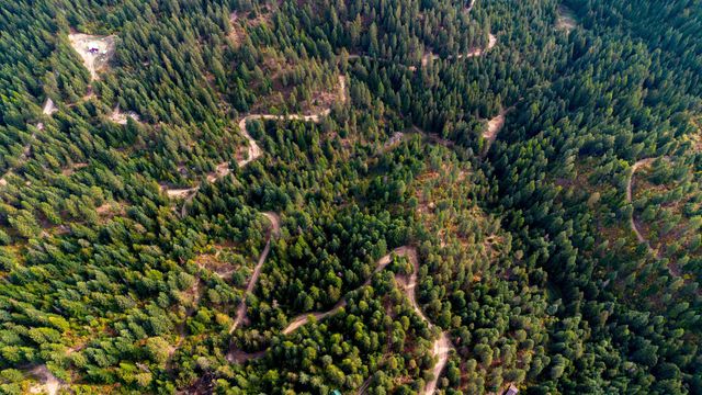 4450 Buck Creek Rd, Loon Lake, WA 99148