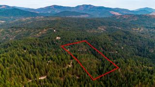 4450 Buck Creek Rd, Loon Lake, WA 99148