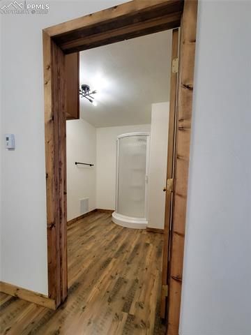 940 Puma Hills Road, Lake George, CO 80827