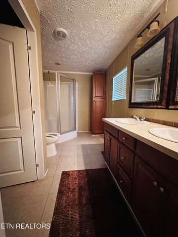 206 Randall Fugate Rd, Spring City, TN 37381