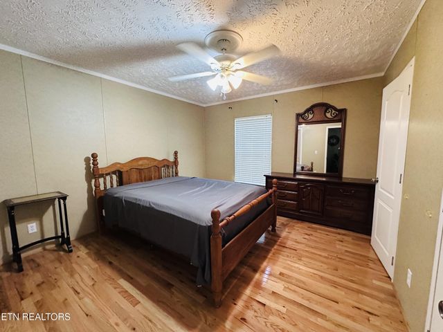206 Randall Fugate Rd, Spring City, TN 37381