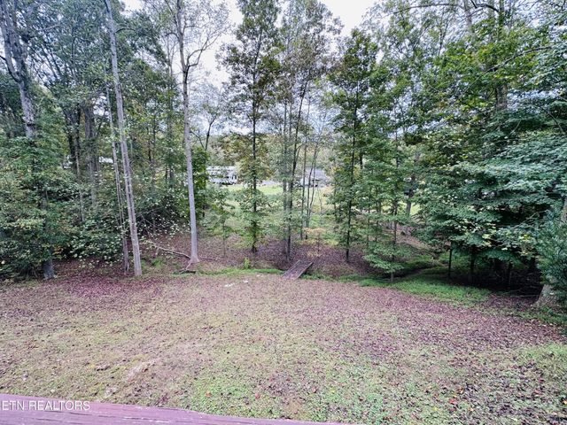 206 Randall Fugate Rd, Spring City, TN 37381