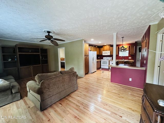206 Randall Fugate Rd, Spring City, TN 37381