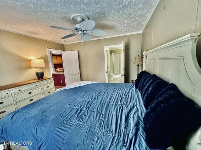206 Randall Fugate Rd, Spring City, TN 37381