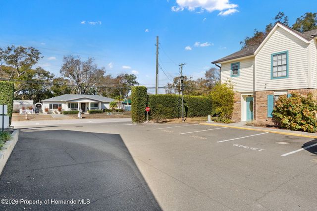 3919 Carroll Pines Court, Tampa, FL 33614