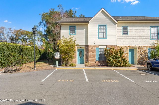 3919 Carroll Pines Court, Tampa, FL 33614