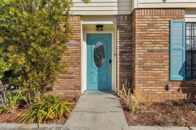 3919 Carroll Pines Court, Tampa, FL 33614