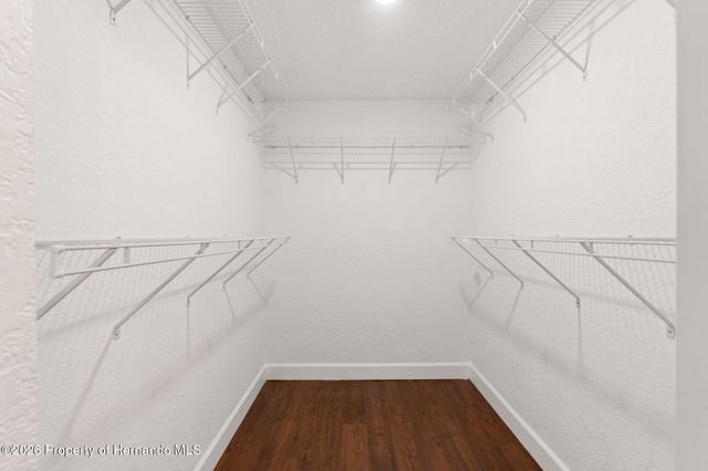 3919 Carroll Pines Court, Tampa, FL 33614