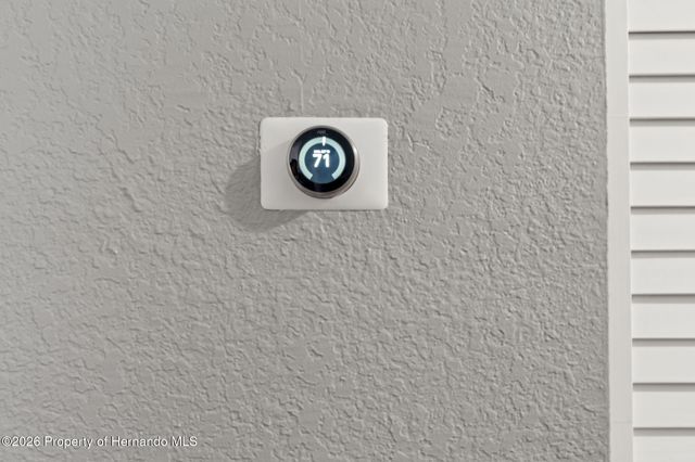 3919 Carroll Pines Court, Tampa, FL 33614