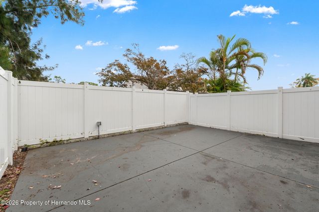 3919 Carroll Pines Court, Tampa, FL 33614