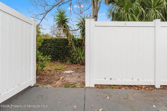 3919 Carroll Pines Court, Tampa, FL 33614