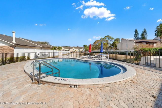 3919 Carroll Pines Court, Tampa, FL 33614