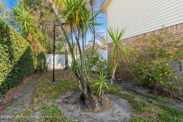 3919 Carroll Pines Court, Tampa, FL 33614