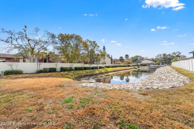 3919 Carroll Pines Court, Tampa, FL 33614