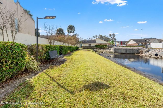 3919 Carroll Pines Court, Tampa, FL 33614