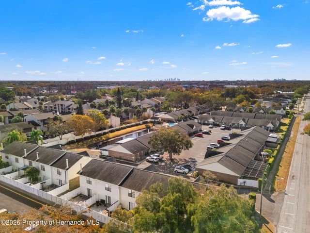 3919 Carroll Pines Court, Tampa, FL 33614