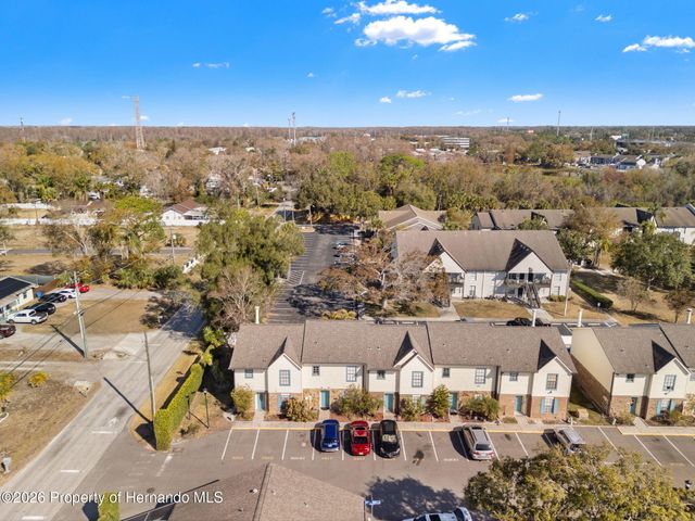 3919 Carroll Pines Court, Tampa, FL 33614