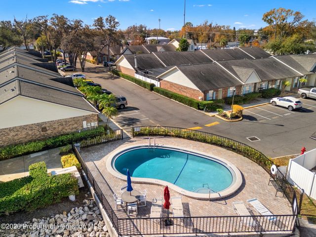 3919 Carroll Pines Court, Tampa, FL 33614