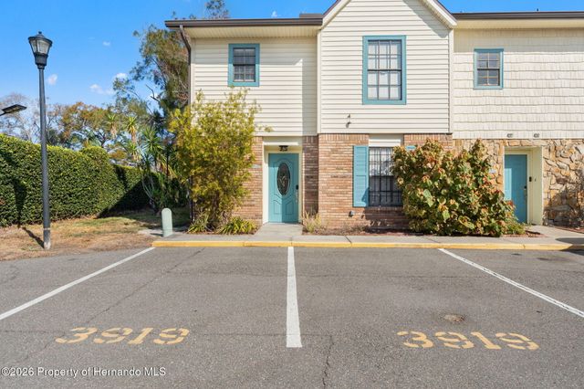 3919 Carroll Pines Court, Tampa, FL 33614