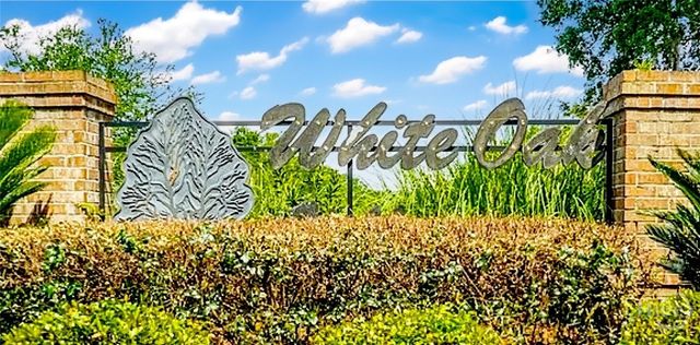 214 Scarlett Lane, Richmond Hill, GA 31324