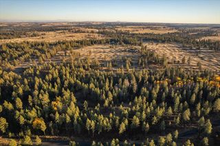 XXXX Lorna Ln, Cheney, WA 99002