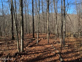 E Cove Rd, 4, Monterey, TN 38574