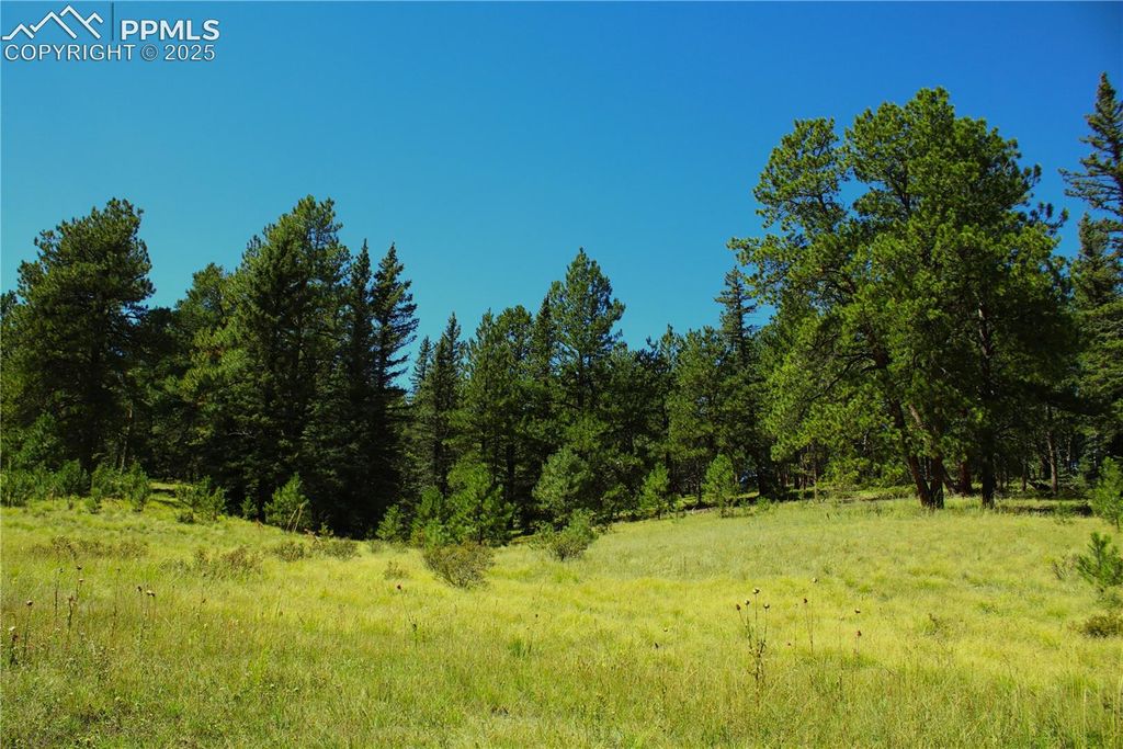6500 County Road 5, Divide, CO 80814 — exterior