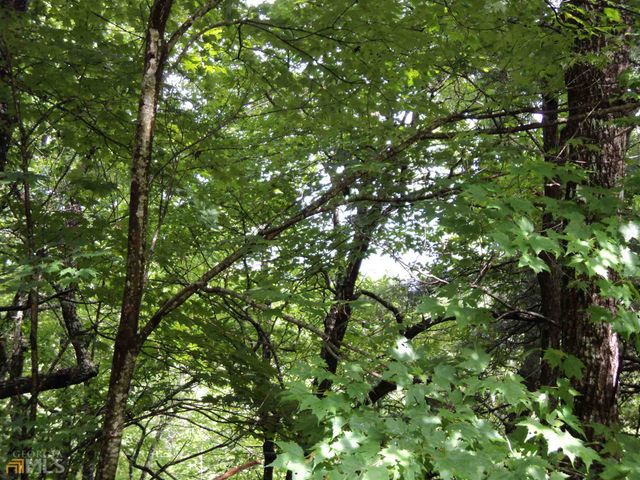 0 Smokey Hollow Drive LOT 27, Dillard, GA 30537