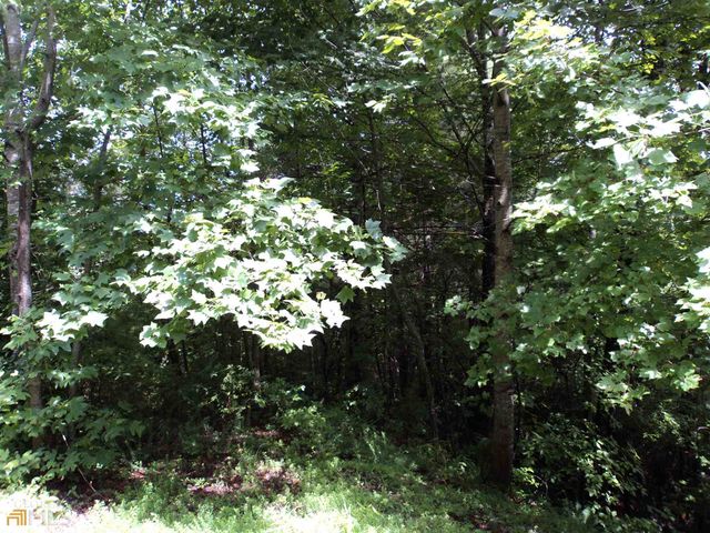 0 Smokey Hollow Drive LOT 27, Dillard, GA 30537
