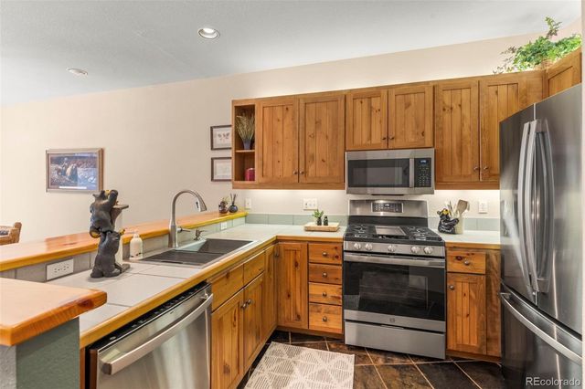 206 Alpen Rose Place 8727, Dillon, CO 80435