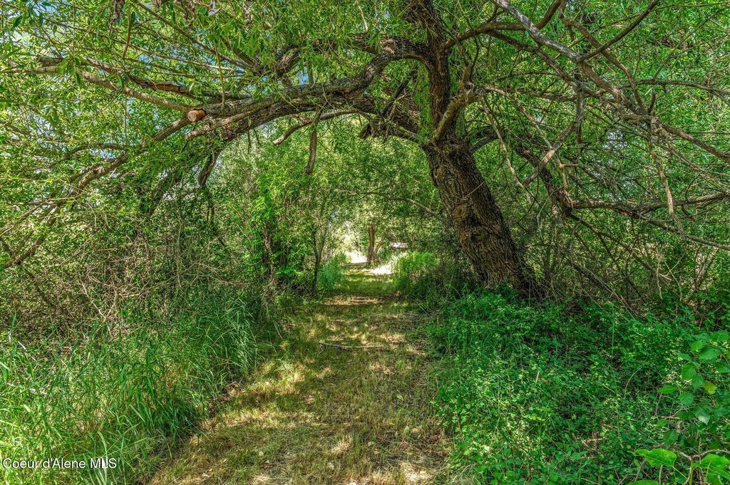 210 Rusho Ln, Blanchard, ID 83804 photo 31