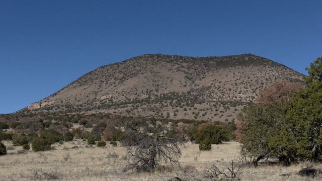21 Wildwood Loop, Datil, NM 87821