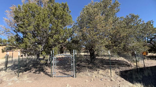 21 Wildwood Loop, Datil, NM 87821