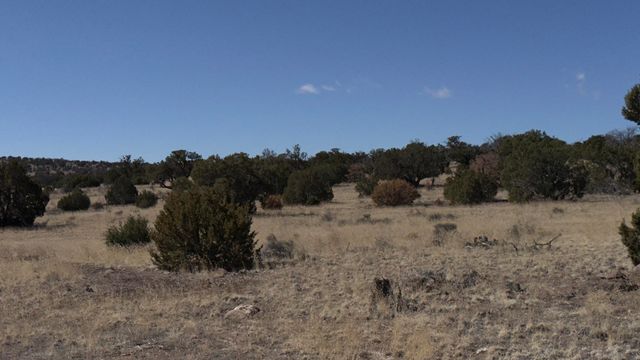 21 Wildwood Loop, Datil, NM 87821