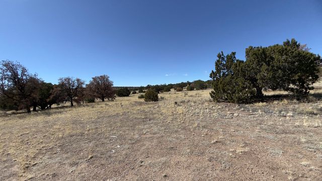 21 Wildwood Loop, Datil, NM 87821