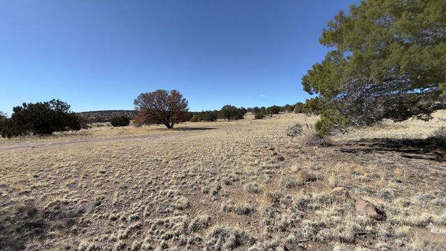 21 Wildwood Loop, Datil, NM 87821