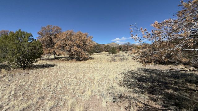 21 Wildwood Loop, Datil, NM 87821