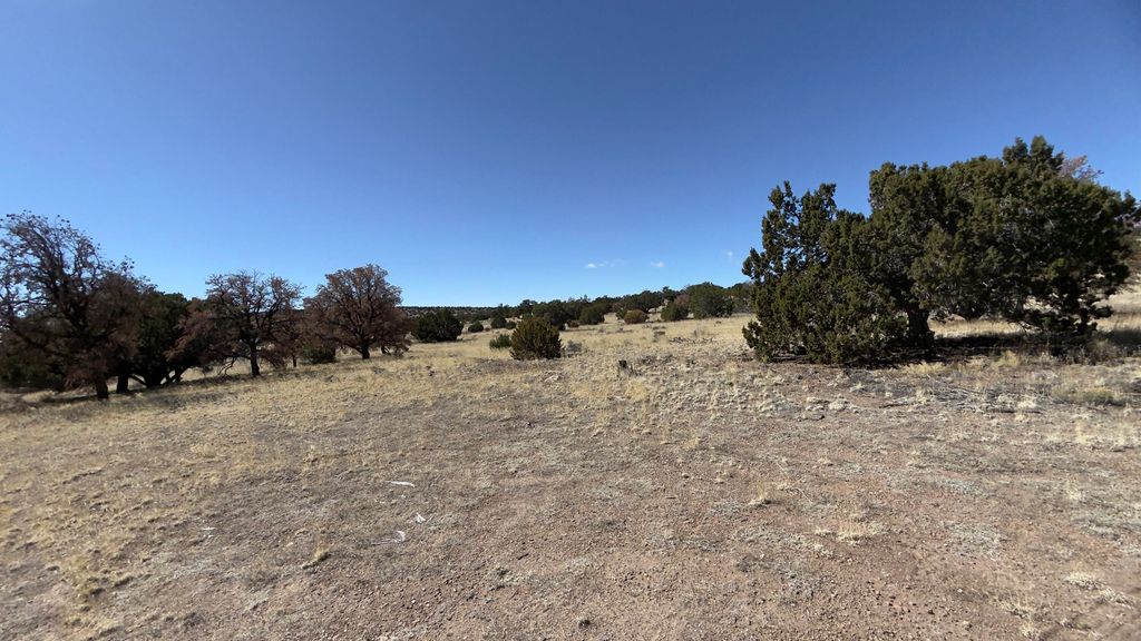 Image 38 of property listing at 21 Wildwood Loop, Datil, NM 87821