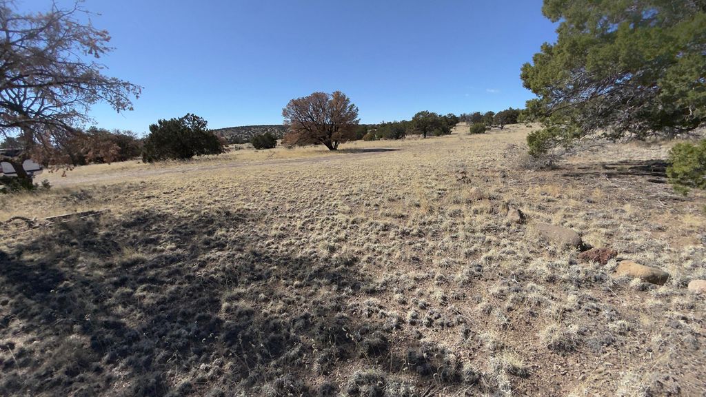 Image 40 of property listing at 21 Wildwood Loop, Datil, NM 87821