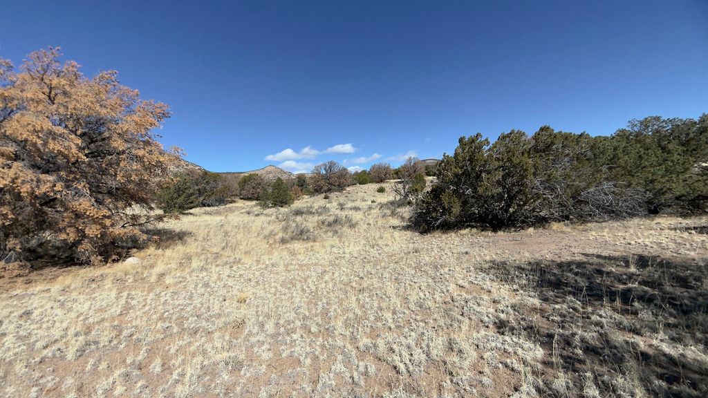 Image 41 of property listing at 21 Wildwood Loop, Datil, NM 87821