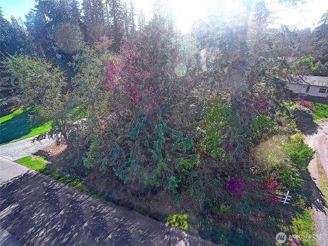 0 NHN S Silver Fir Drive, Camano Island, WA 98282