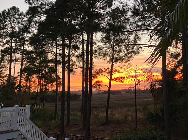 2618 Kiln Creek Circle, Mount Pleasant, SC 29466