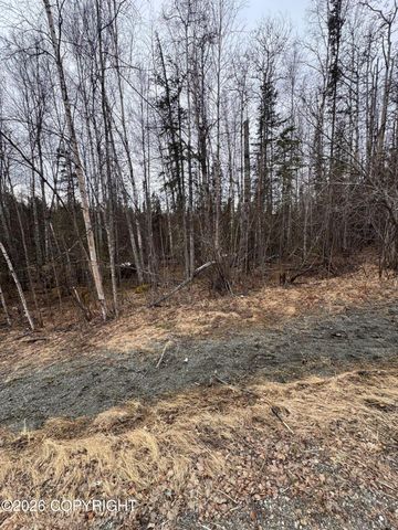 8538 W Cormorant, Wasilla, AK 99623