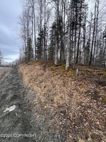 8538 W Cormorant, Wasilla, AK 99623