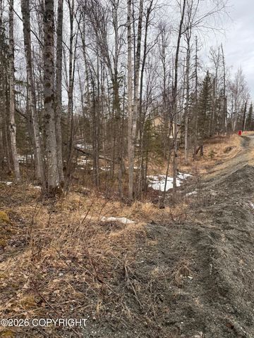 8538 W Cormorant, Wasilla, AK 99623