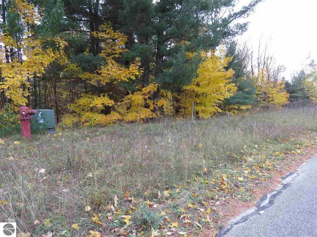 Image 2 of property listing at Lot 68 Eden Street, Kingsley, MI 49649