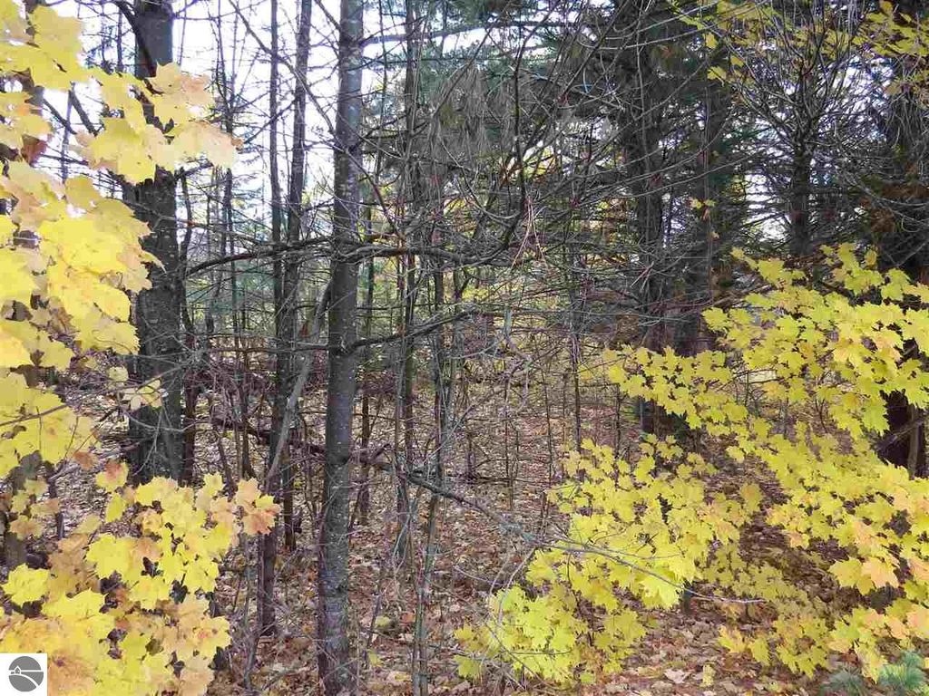 Image 3 of property listing at Lot 68 Eden Street, Kingsley, MI 49649