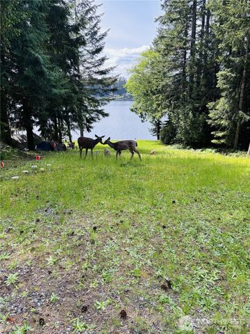 1130 E Timberlake Drive, Shelton, WA 98584