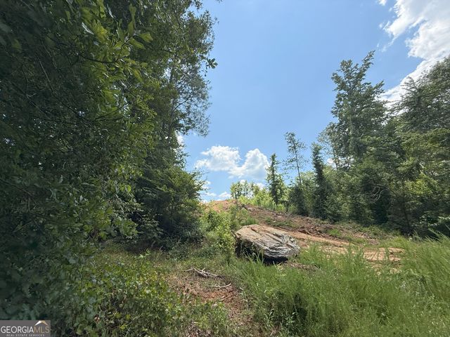 13 Emmaus Drive, Elberton, GA 30635