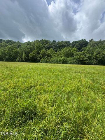 Tbd West Highway 11 Lot 22, Kingsport, TN 37660